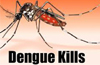Dengue death in DK, 10 positive cases too